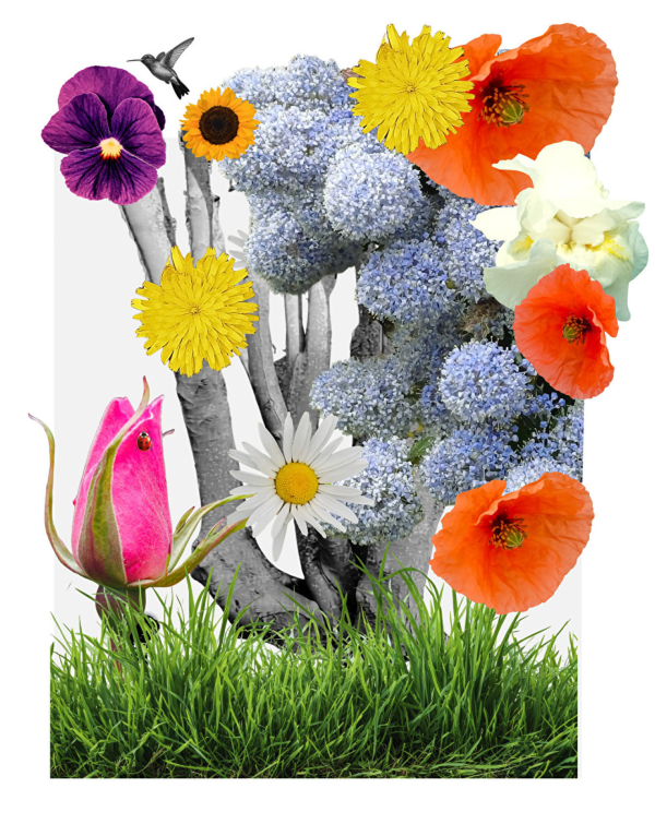 cropped-outside-the-gate-in-full-bloom-by-sandra-palmer-12674.jpg