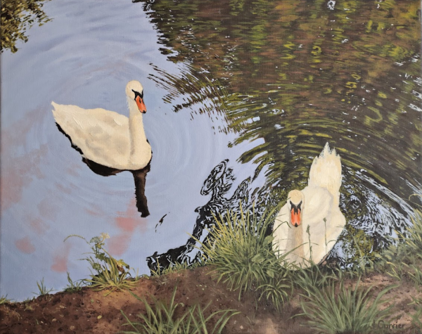 cropped-swans-by-john-currier-39349.png