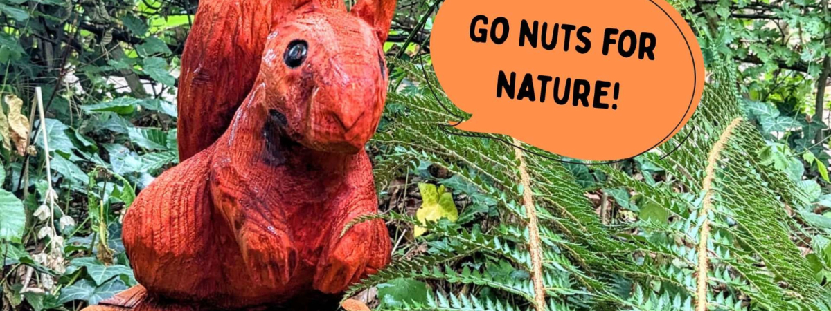 Selly Manor Summer: Go nuts for nature!